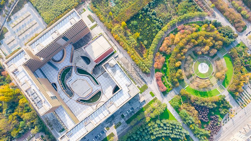 成都物联网电子模块：揭秘其报价背后的技术考量