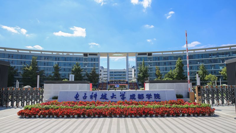电子产品出口欧洲：价格报价背后的考量因素**
