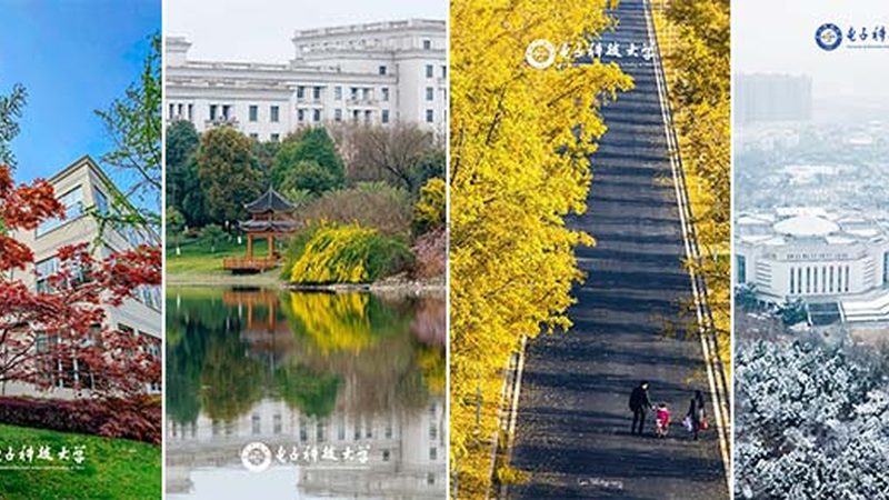 电子元器件仓库存储：关键参数与最佳实践**